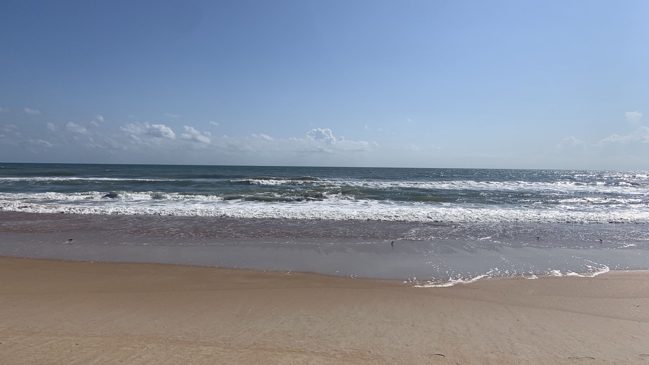 Photo of Others in Ormond-by-the-Sea