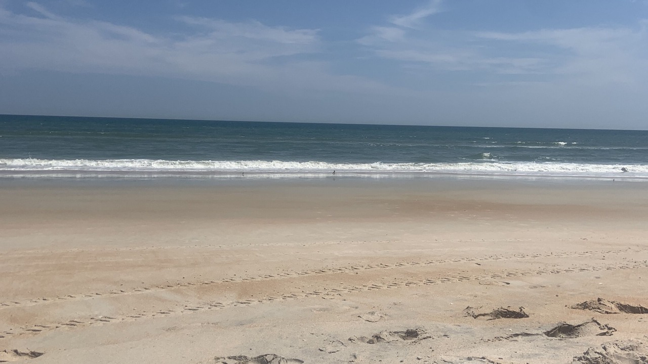 Photo of Others in Ormond-by-the-Sea