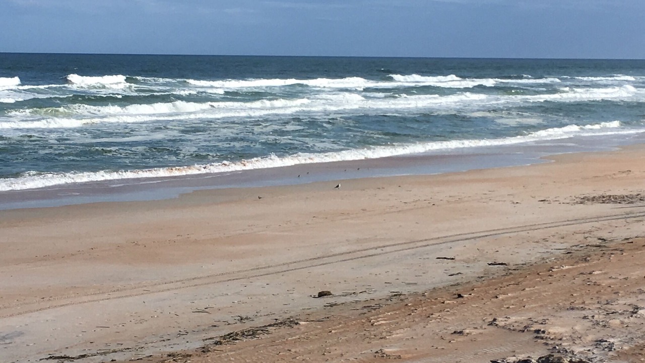Photo of Others in Ormond-by-the-Sea