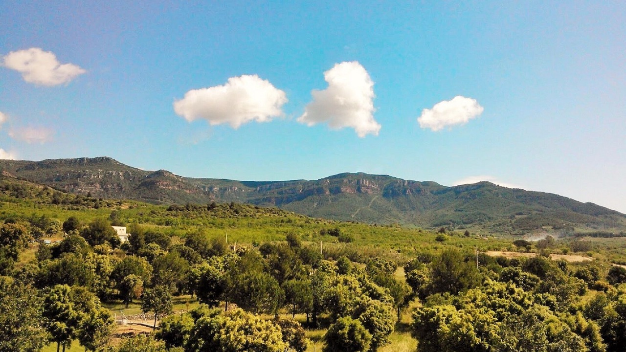 Photo of Others in L'Aleixar