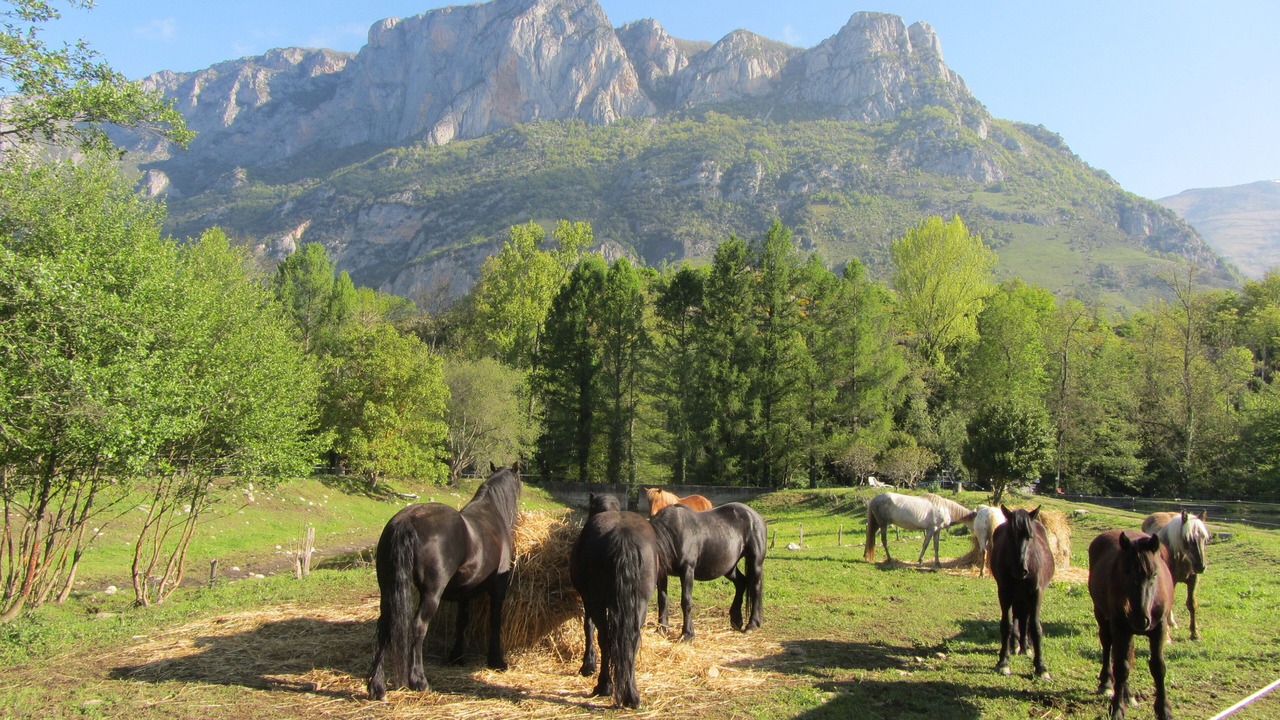 Photo of Outdoor in Luzenac