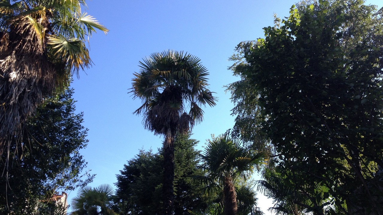 Photo of Outdoor in Lourdes