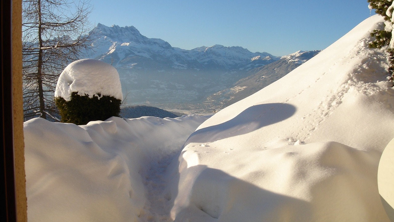 Photo of Others in Leysin