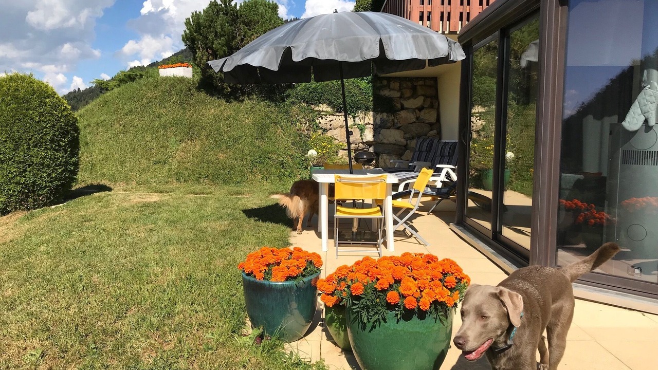 Photo of Outdoor in Leysin