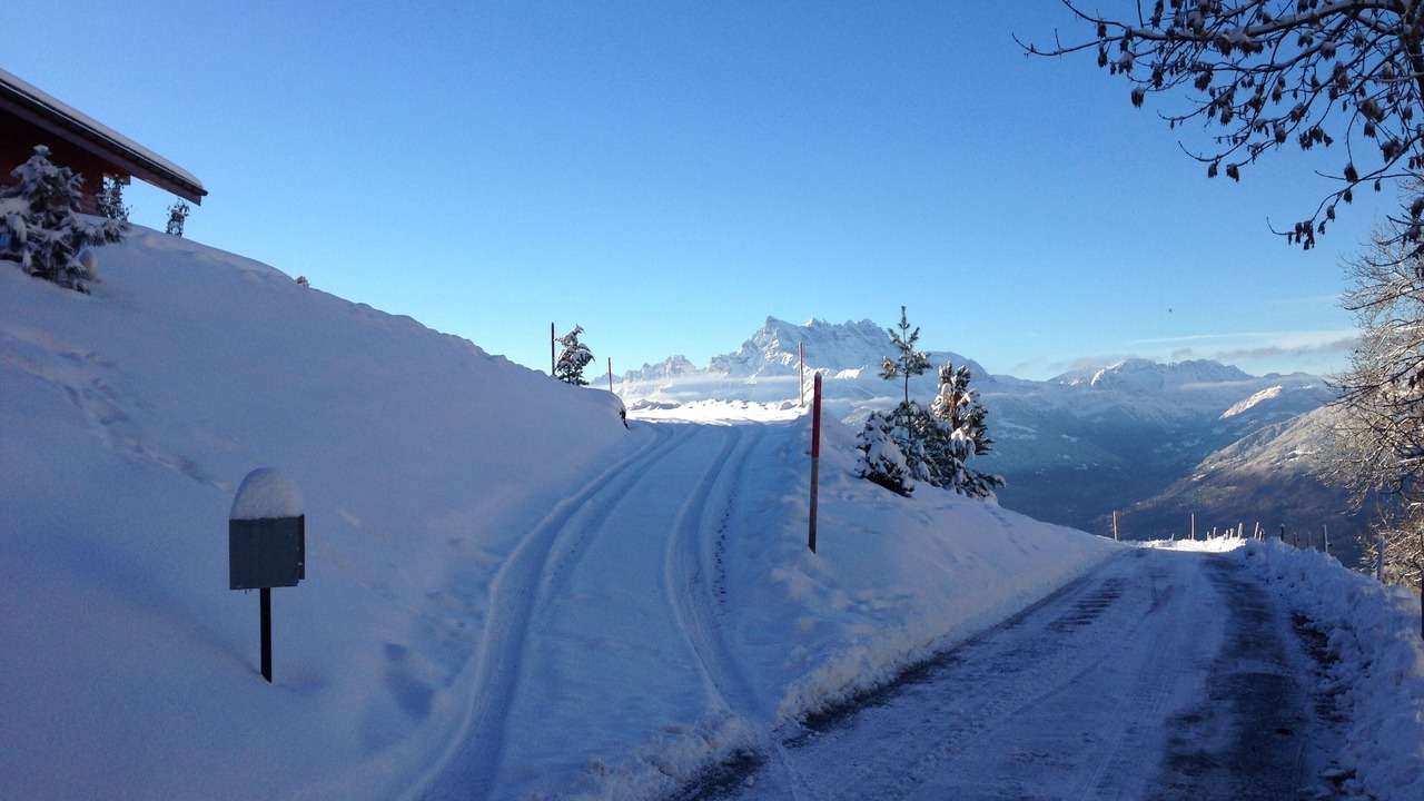 Photo of Others in Leysin