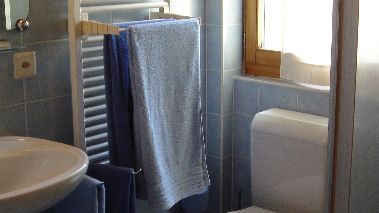 Photo of Bathroom in Leysin