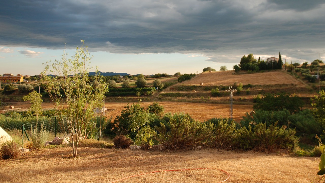 Photo of Outdoor in Llado