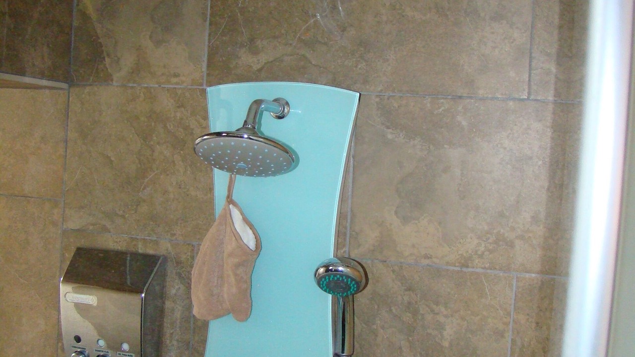 Photo of Bathroom in Les Borges del Camp