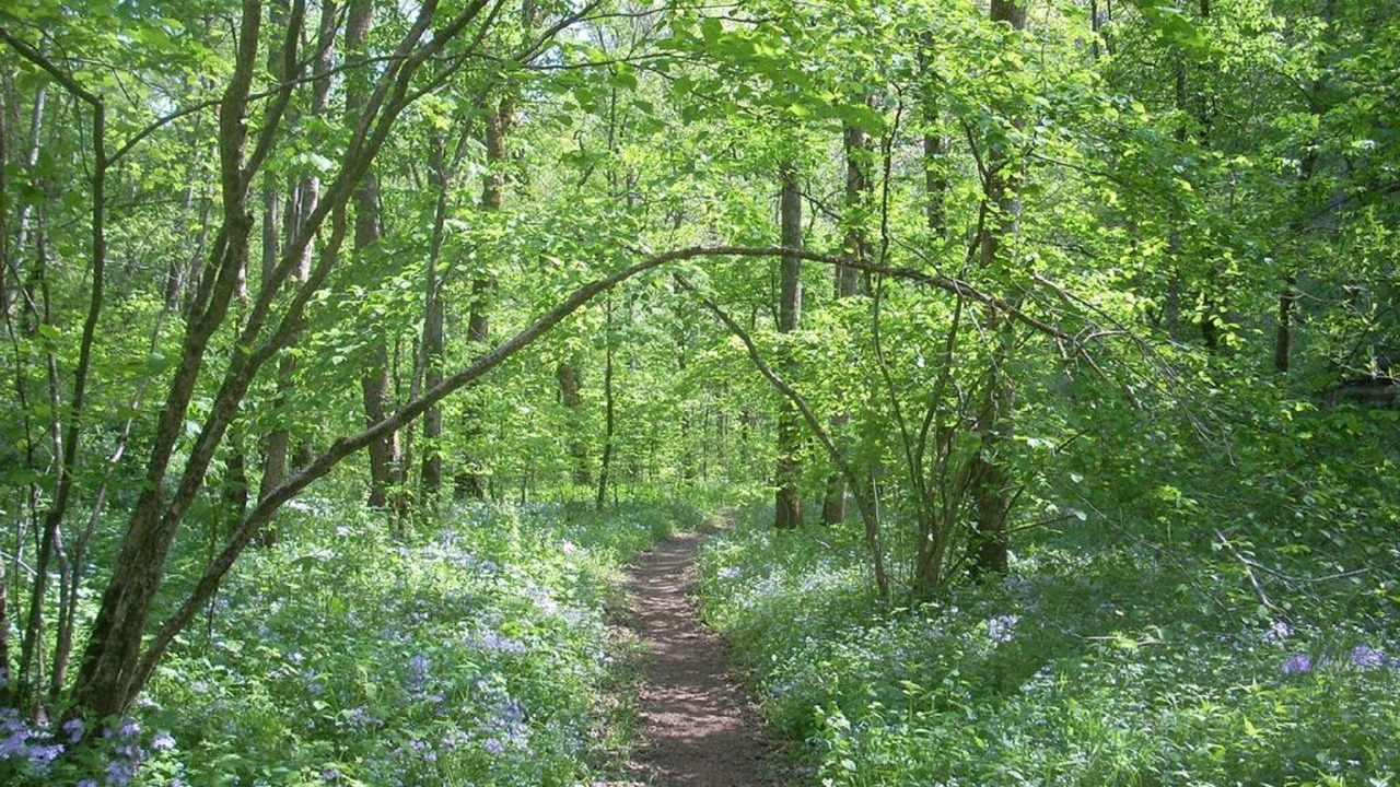 Photo of Outdoor in Shawnee On Delaware