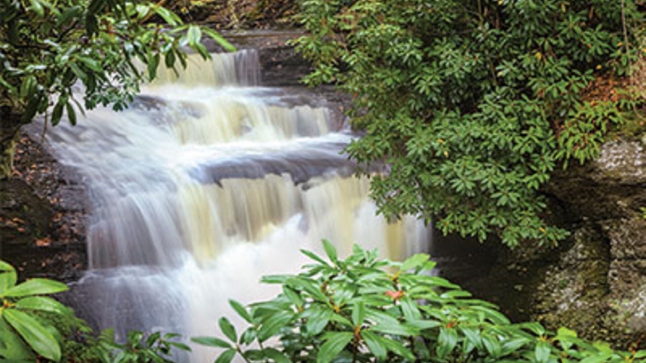 Photo of Outdoor in Shawnee On Delaware
