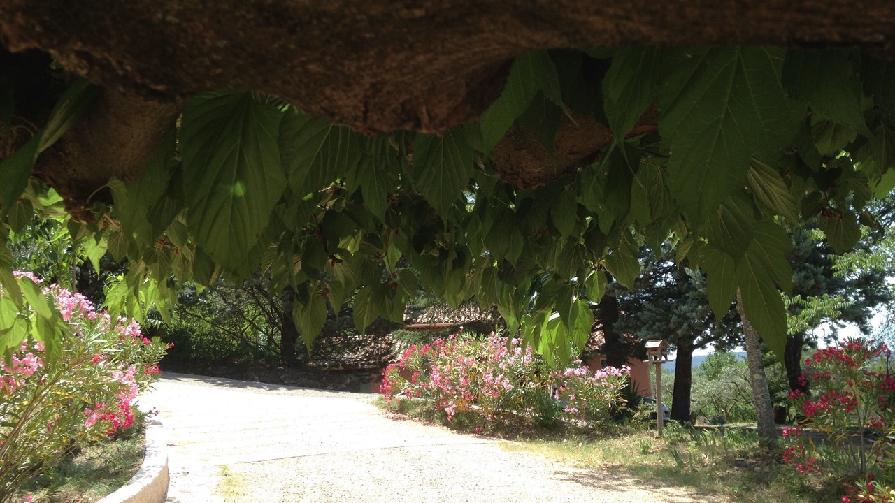 Photo of Outdoor in Aups