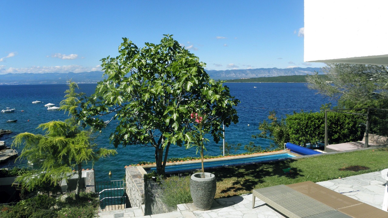 Photo of Outdoor in Vantacici