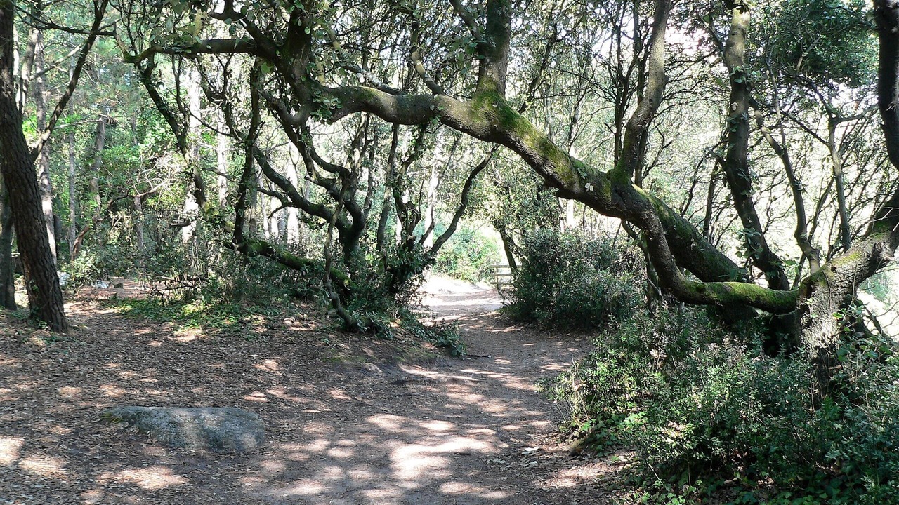 Photo of Outdoor in Noirmoutier-en-l'Ile