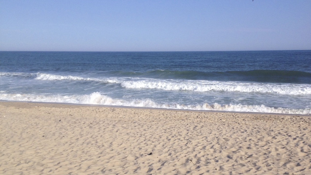 Photo of Others in Napeague