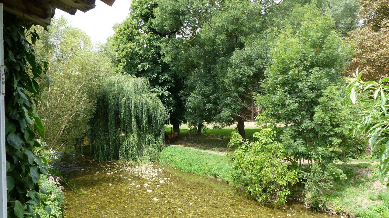 Photo of Outdoor in Leran
