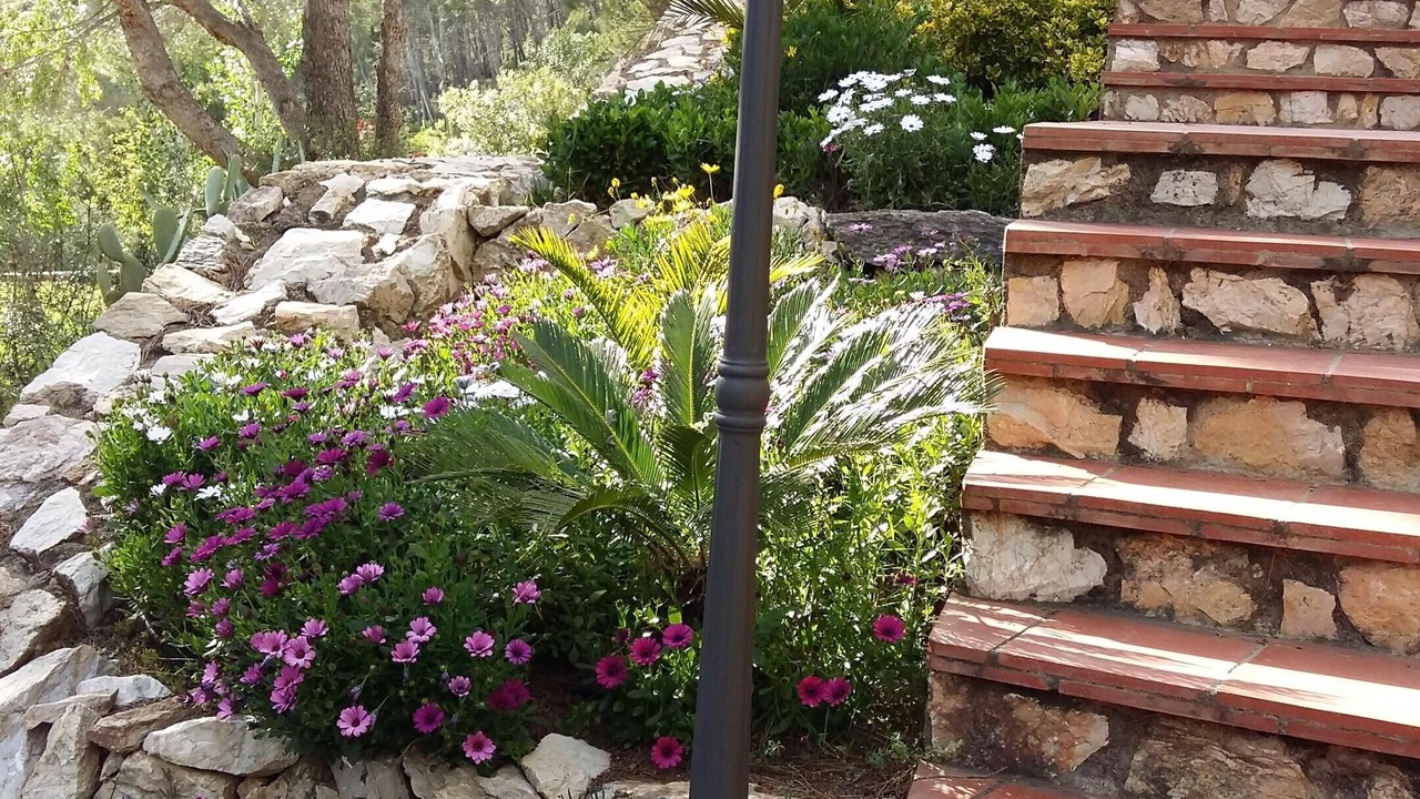 Photo of Outdoor in L'Albiol