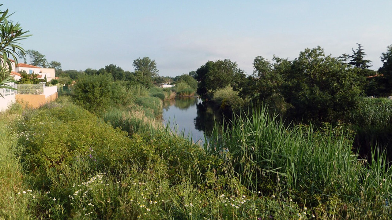 Photo of Outdoor in Plage d'Argeles