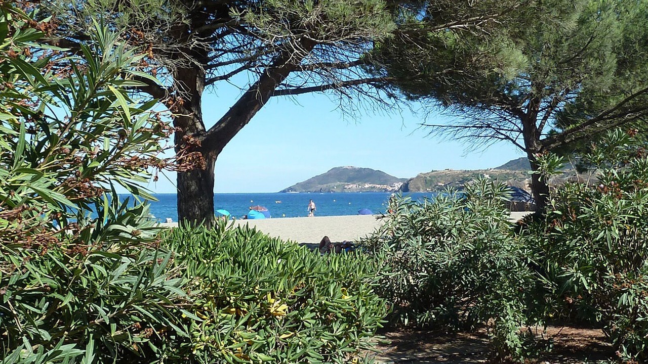 Photo of Others in Plage d'Argeles