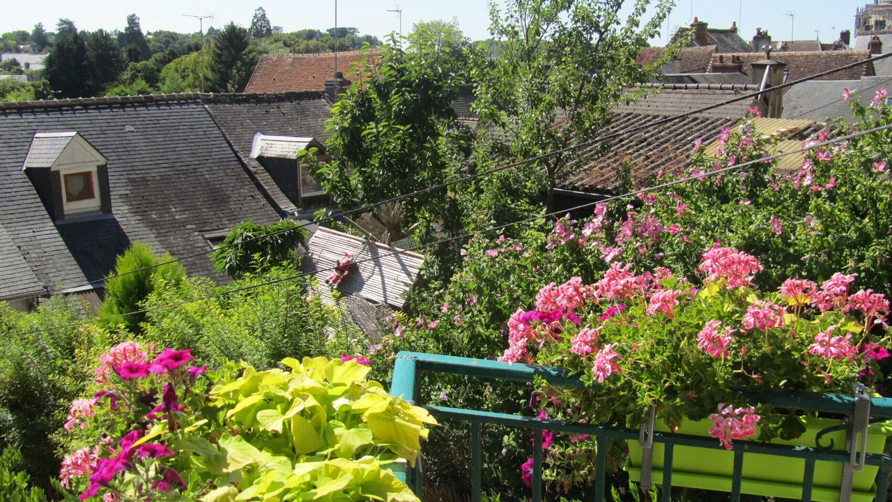 Photo of Outdoor in Amboise