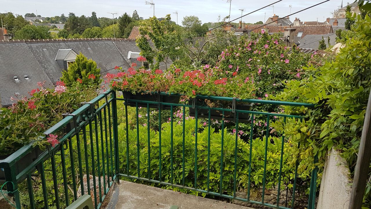 Photo of Outdoor in Amboise