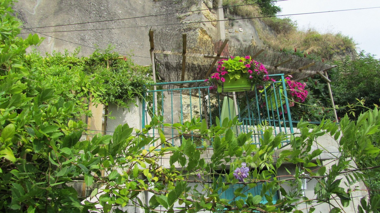 Photo of Outdoor in Amboise