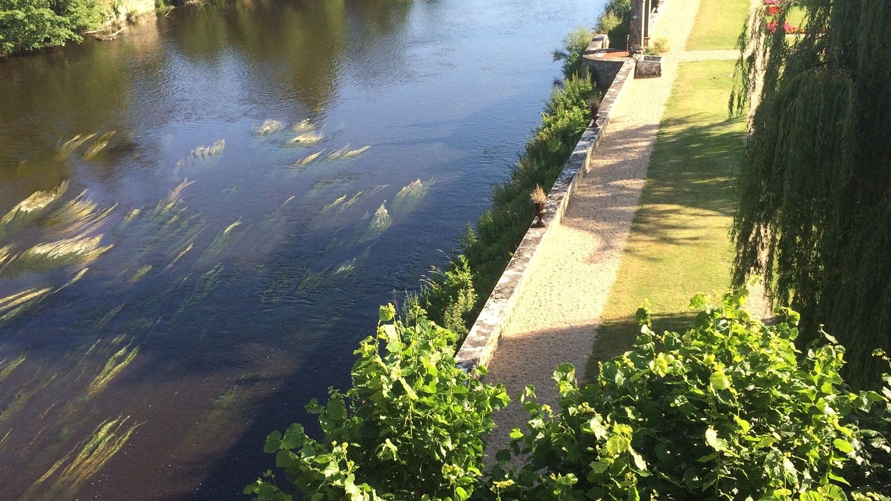 Photo of Outdoor in Montmorillon