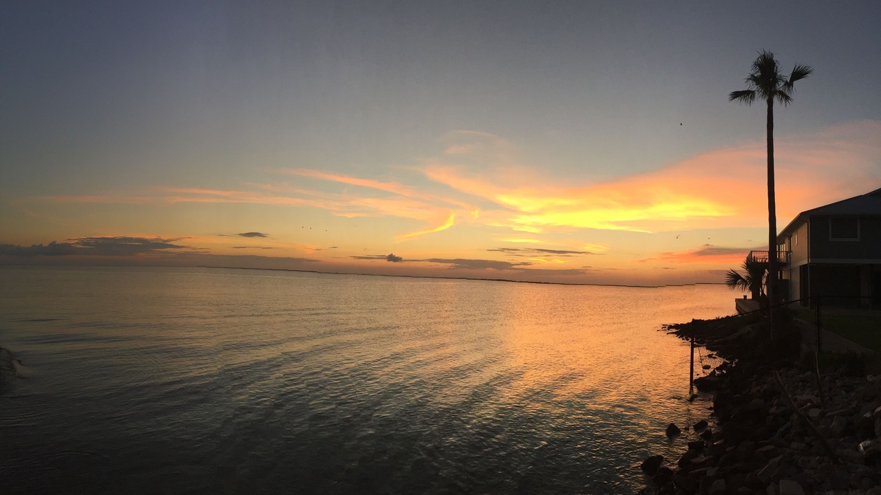Photo of Others in Jamaica Beach