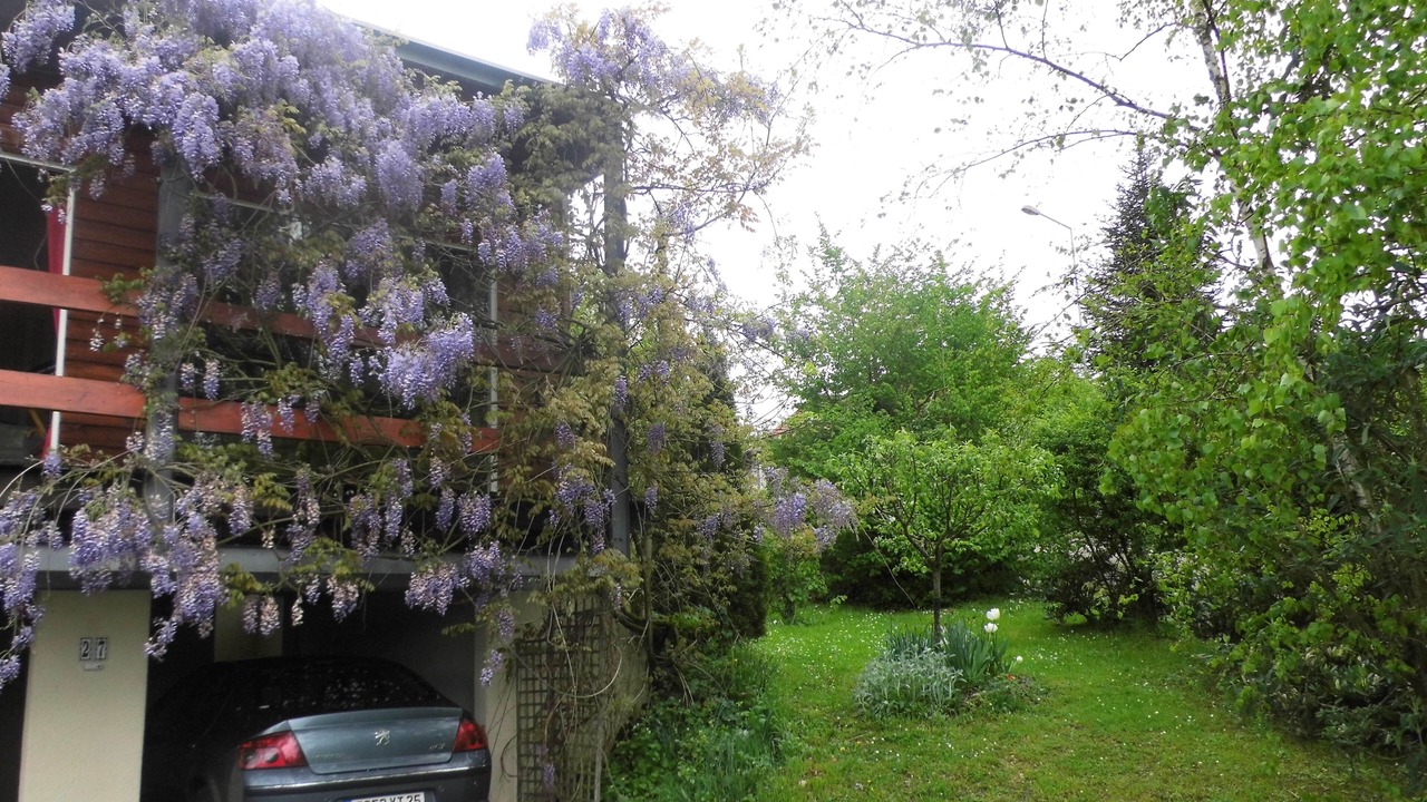 Photo of Outdoor in Montfaucon