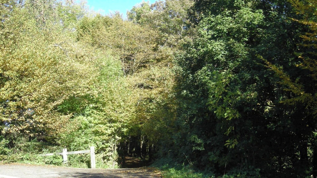 Photo of Outdoor in Montfaucon