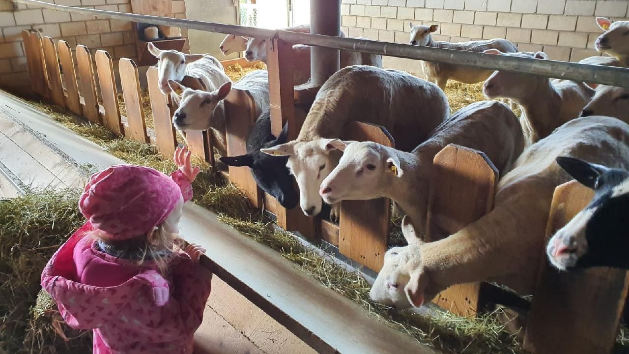 Photo of Others in Hergiswil bei Willisau