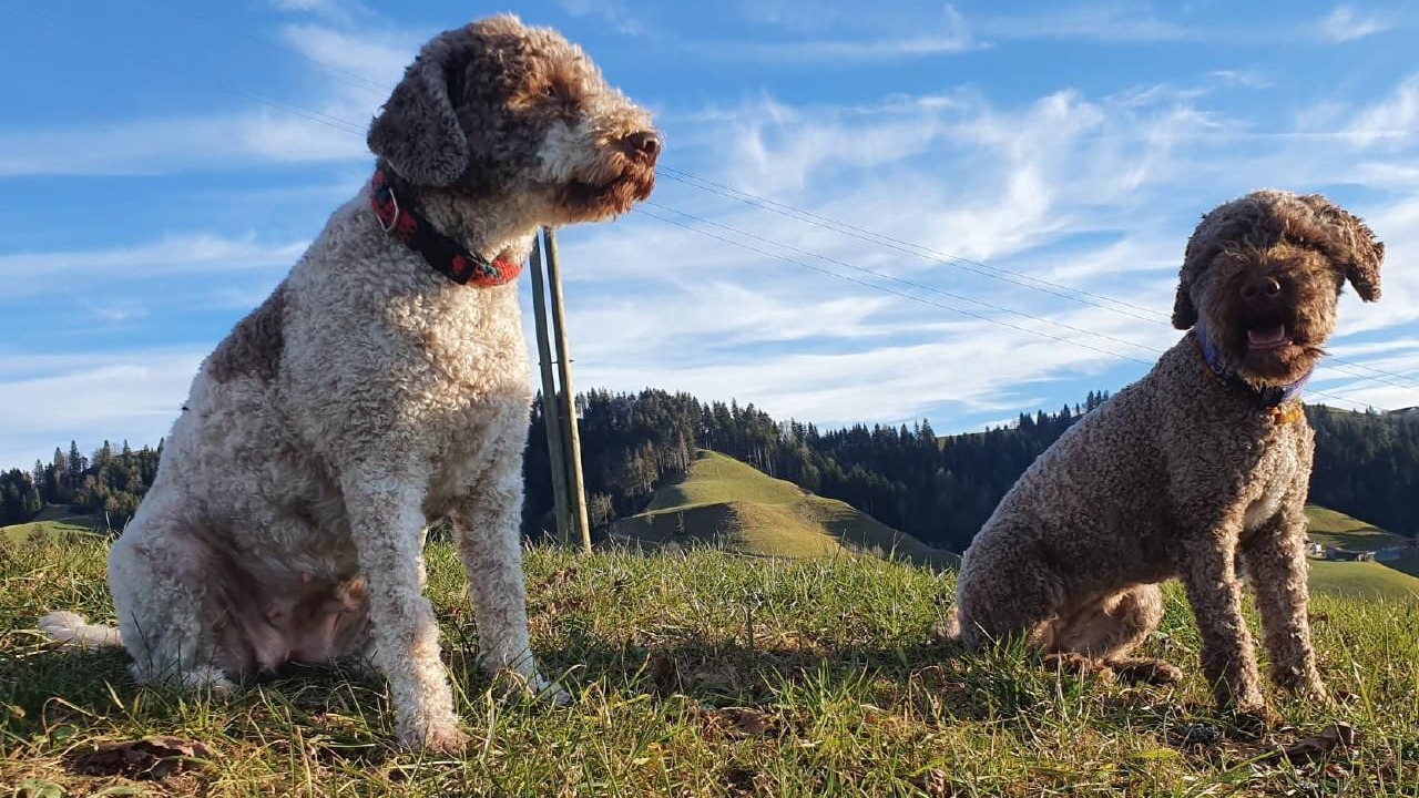 Photo of Others in Hergiswil bei Willisau