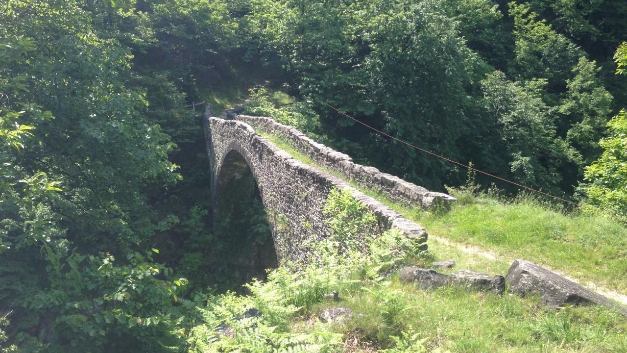 Photo of Others in Malvaglia-dagro