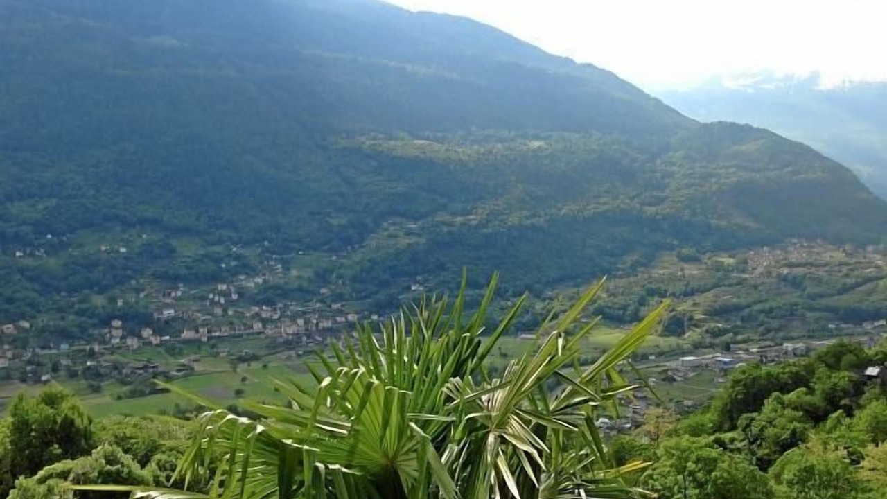 Photo of Others in Malvaglia-dagro
