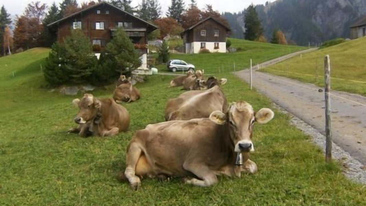 Photo of Others in Buerglen