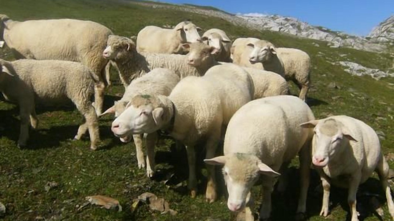 Photo of Others in Buerglen