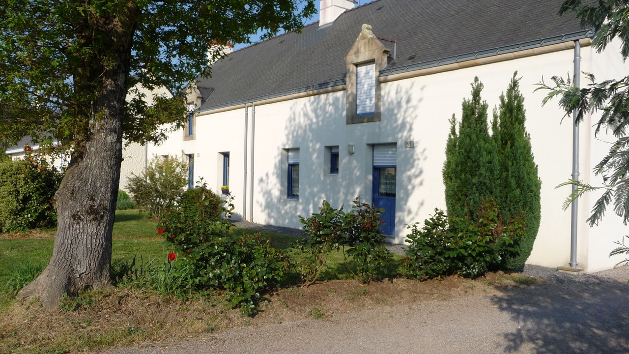 Photo of Outdoor in Ferel
