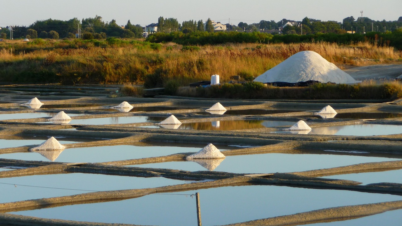 Photo of Outdoor in Ferel
