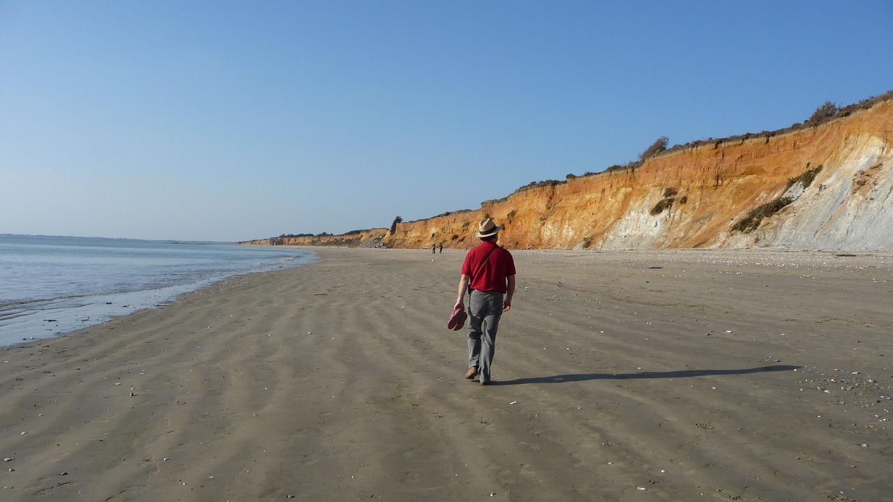 Photo of Others in Ferel
