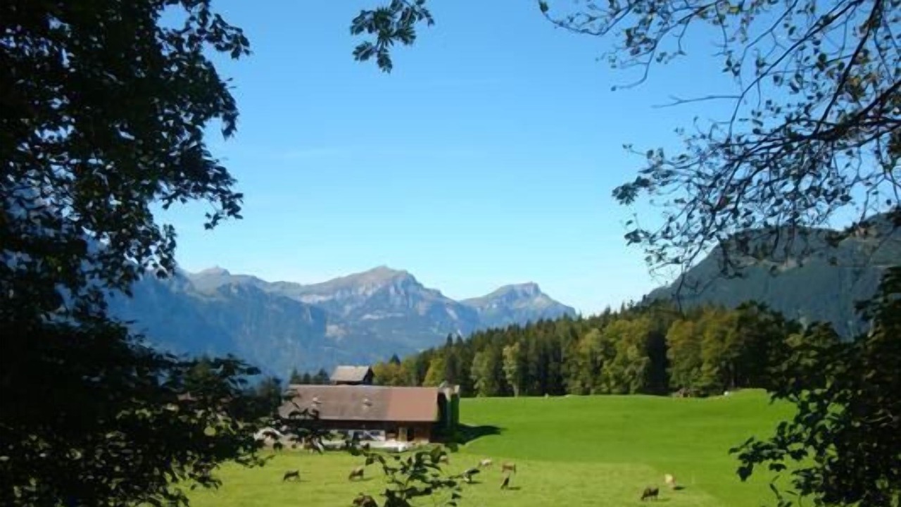 Photo of Others in Buerglen