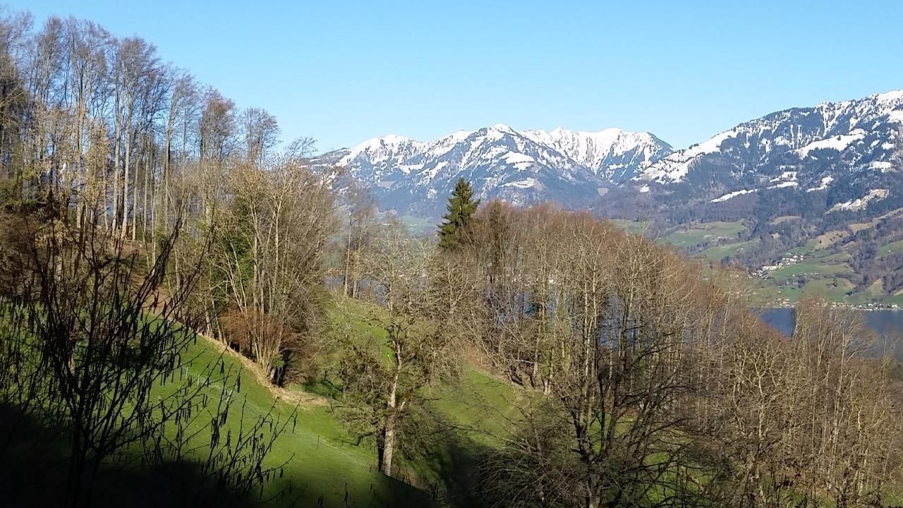 Photo of Patio Balcony in Giswil
