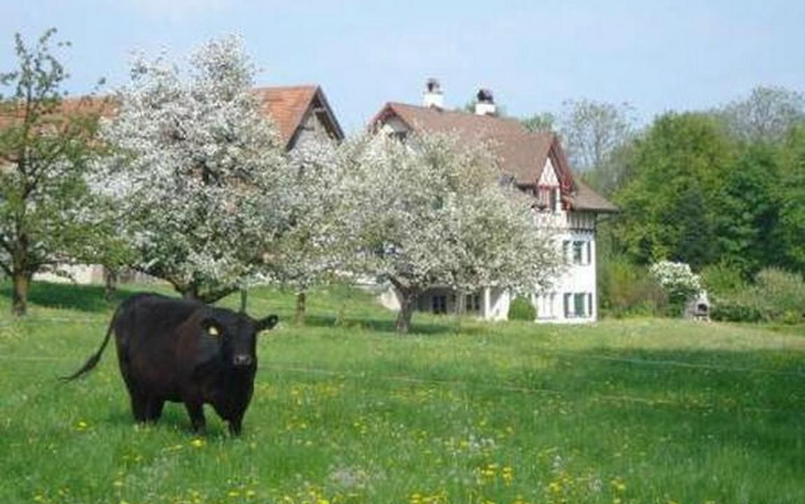 Photo of Others in Egnach