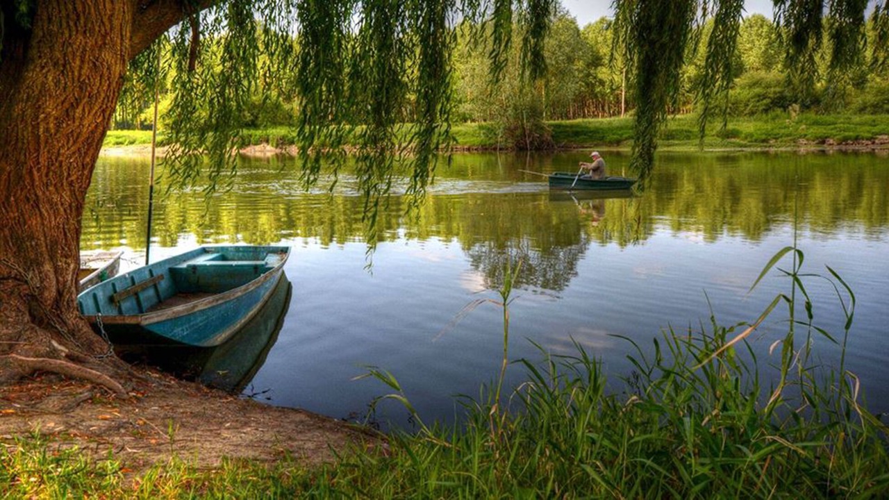 Photo of Outdoor in Blere