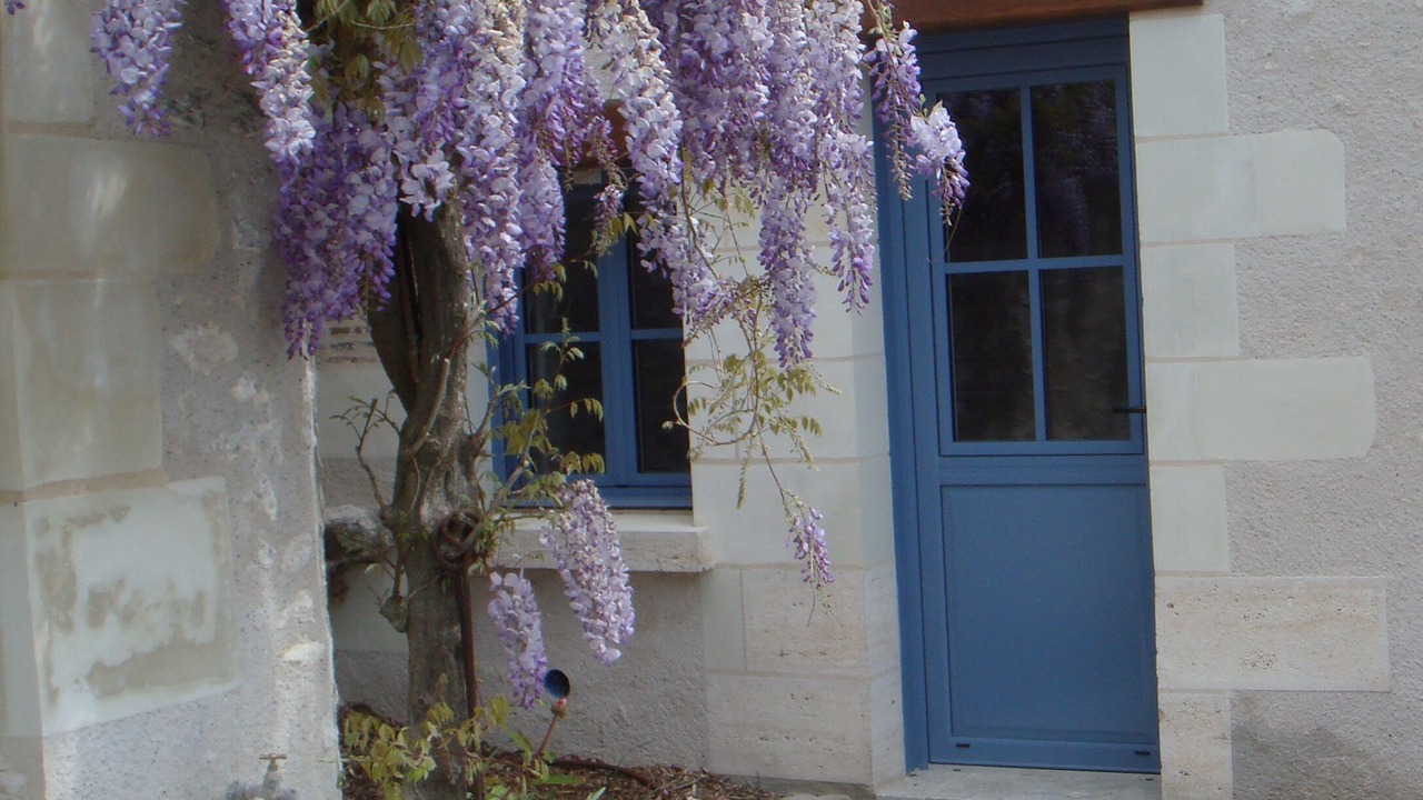 Photo of Outdoor in Blere