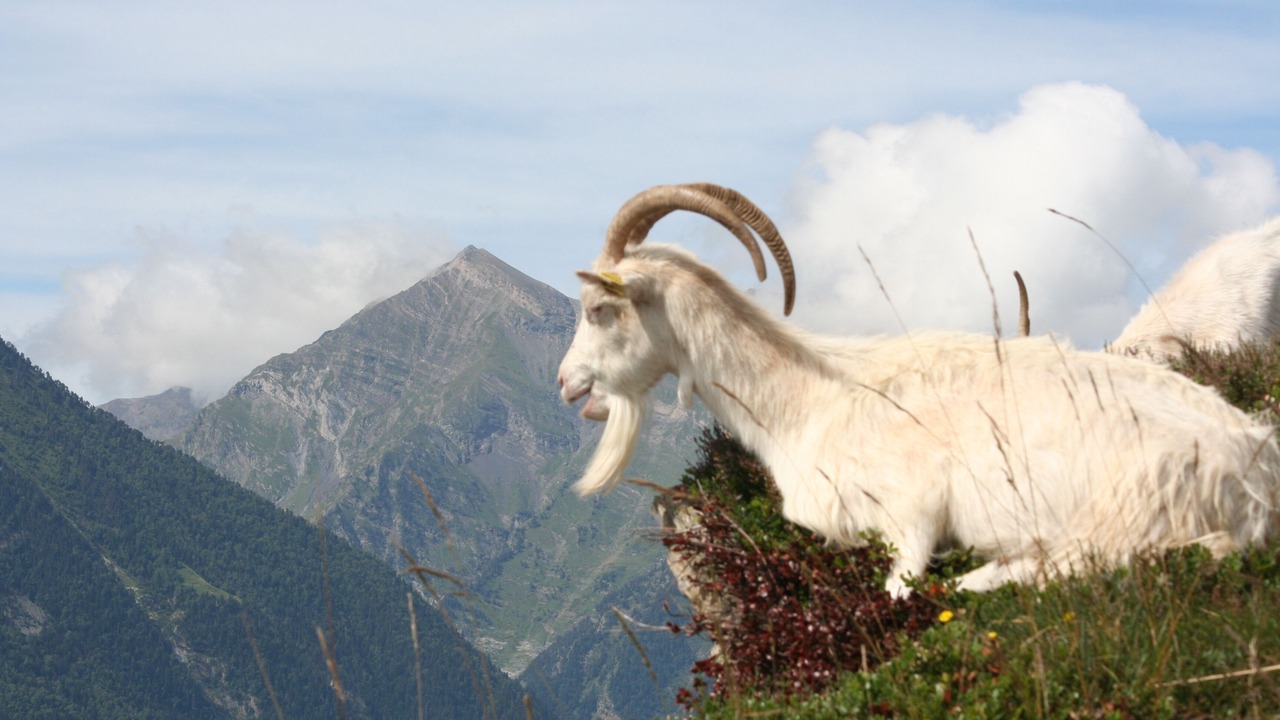 Photo of Outdoor in Cadeilhan-Trachere