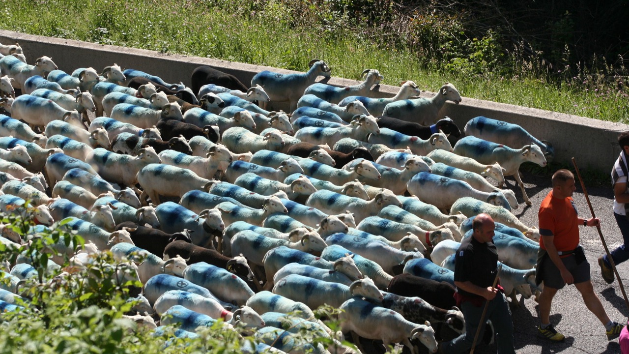 Photo of Outdoor in Cadeilhan-Trachere