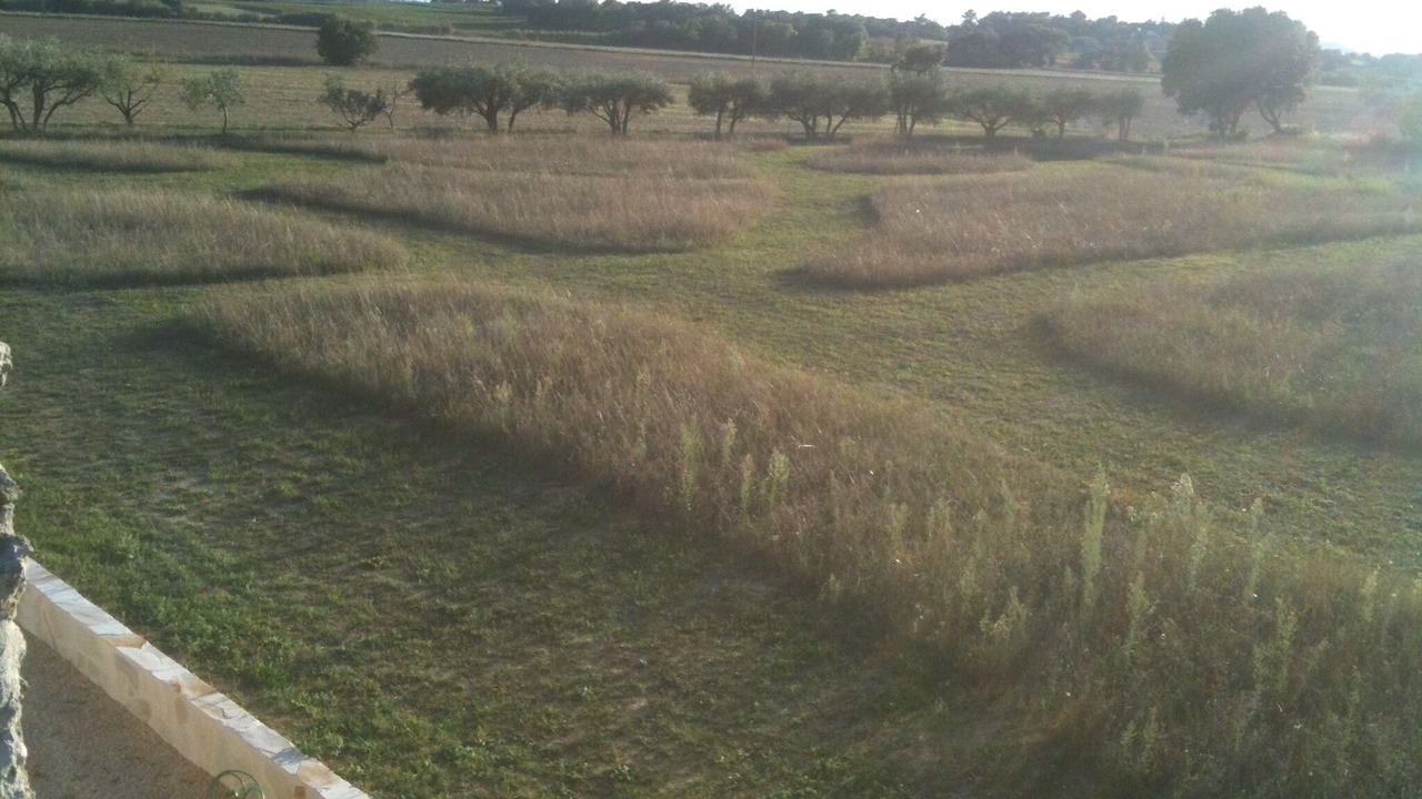 Photo of Outdoor in Bagard