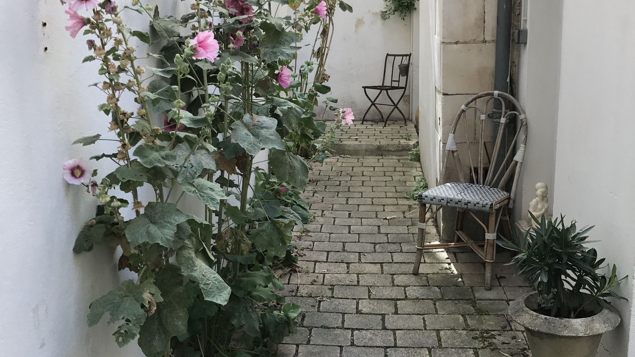 Photo of Outdoor in La Rochelle City Centre