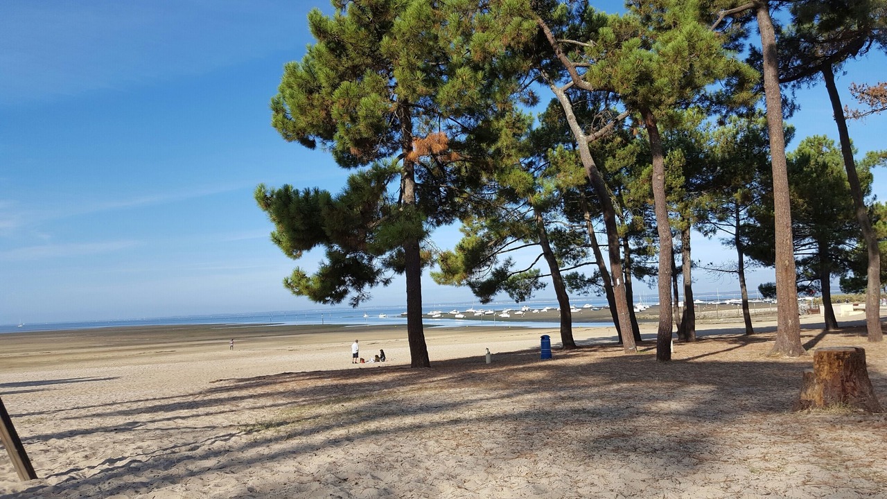 Photo of Others in Andernos-les-Bains