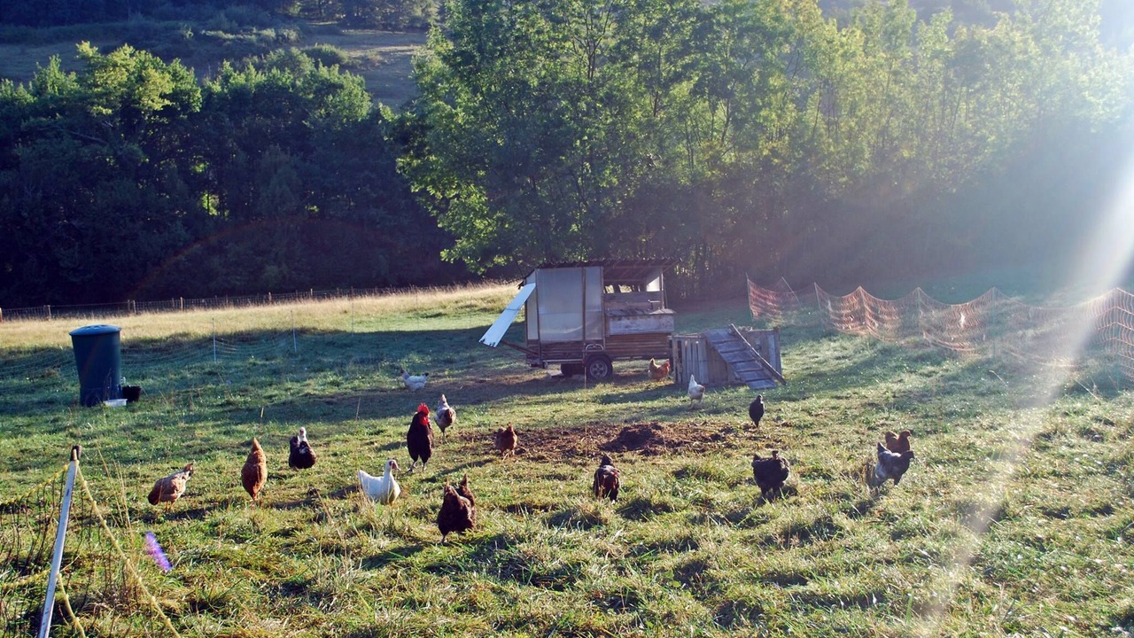 Photo of Outdoor in Pamiers