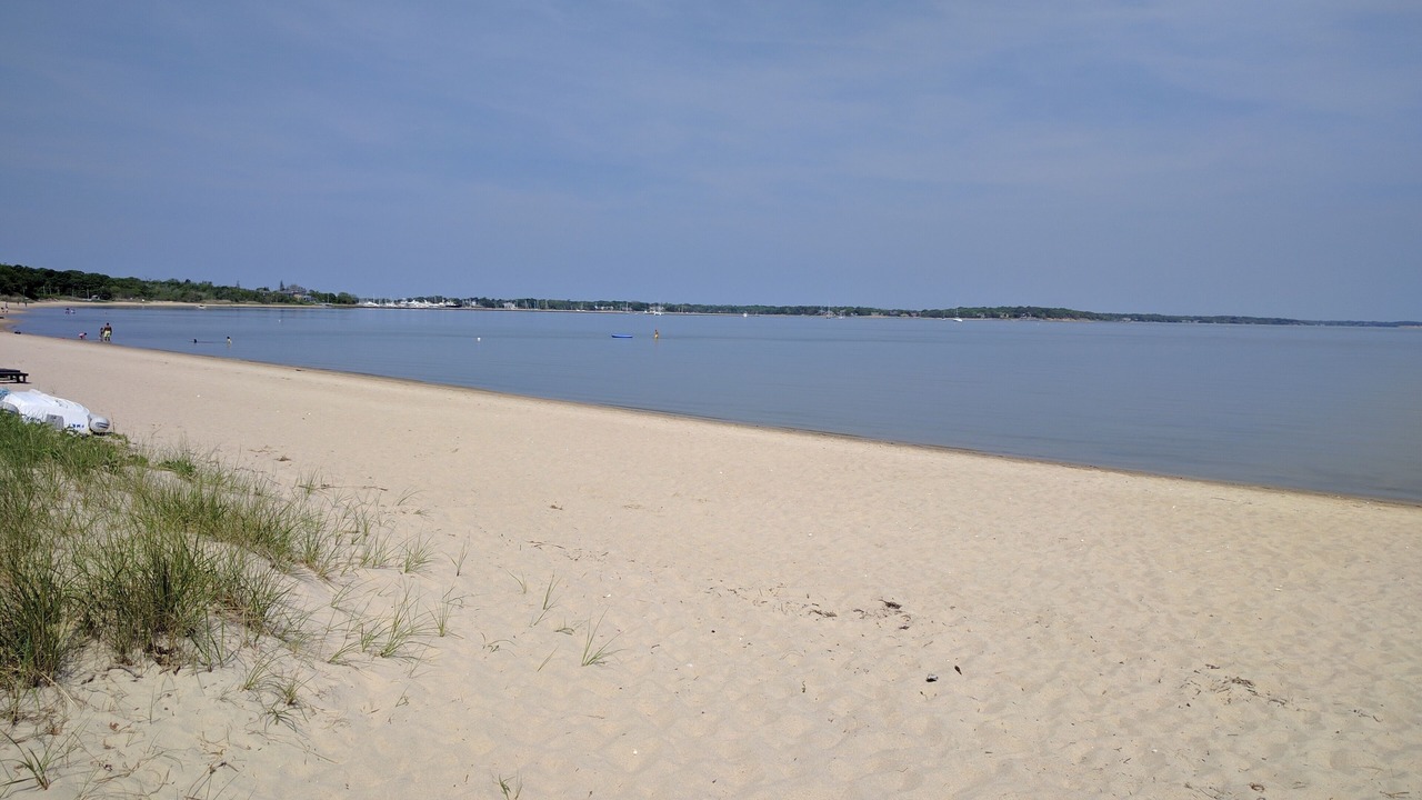 Photo of Others in Sag Harbor